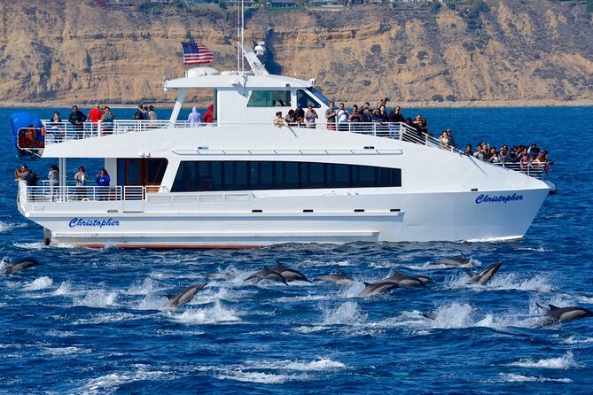 Guided Whale Watching Tour from Long Beach - Wildlife possibilities and the no-sighting promise