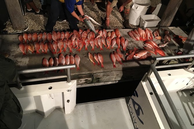 Half-Day Fishing Trip in Fort Lauderdale - What you can catch, from snapper to amberjack