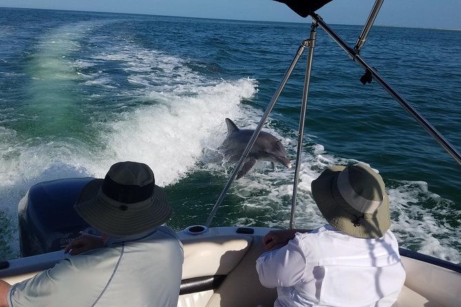 Half-Day Private Boating On Black Hurricane - Clearwater Beach - Dolphins, birds, and the luck of the Gulf