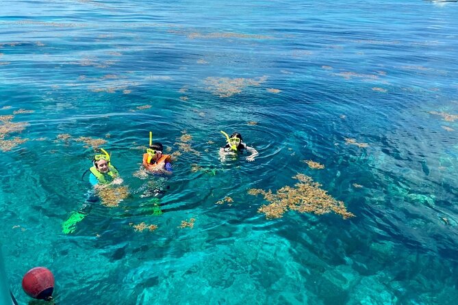 Half Day Snorkel Trip on Reefs in the Florida Keys - Why Key Largo is the right place for this outing