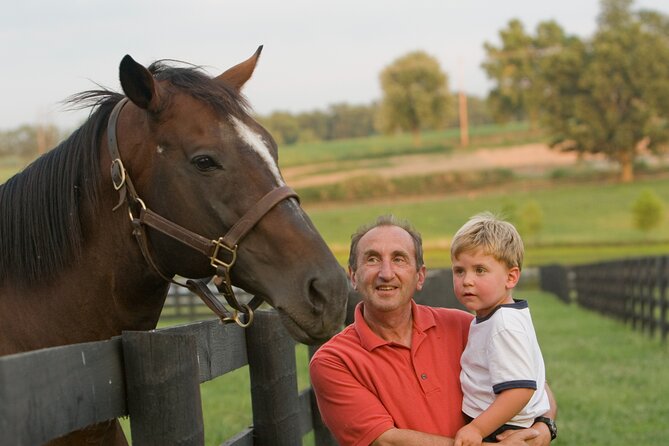 Half-Day Thoroughbred Horse Farm Tour in Kentucky