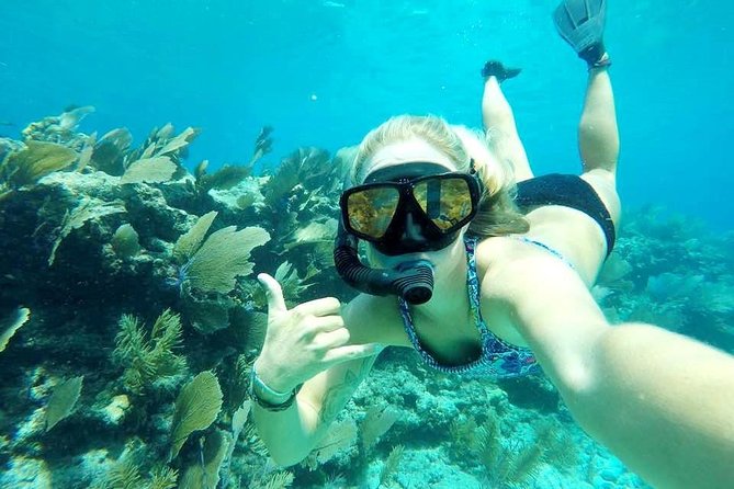 Half-Day Trip from Key West with Kayaking, Snorkeling & Sunset - Food, drinks, and the value of $115