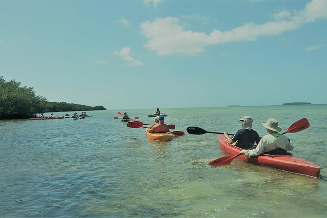 Half-Day Trip from Key West with Kayaking, Snorkeling & Sunset - Kayaking around mangrove islands