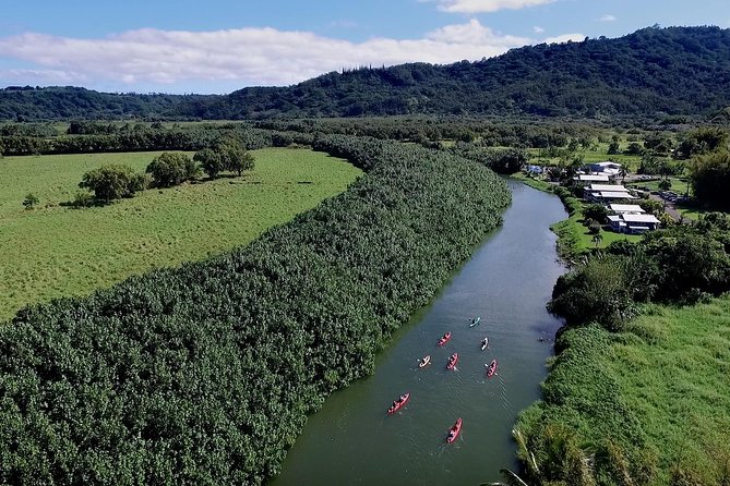 Hanalei Bay Morning Kayak and Snorkel Tour - Why this Hanalei tour works so well