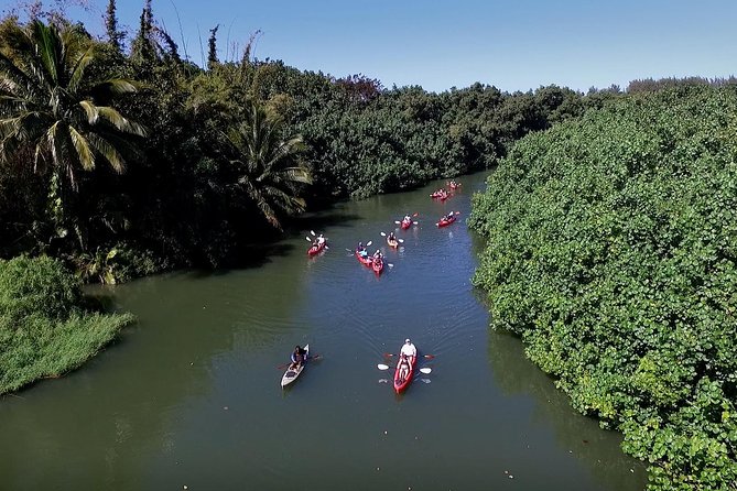 Hanalei Bay Morning Kayak and Snorkel Tour - Weather, cancellation, and timing