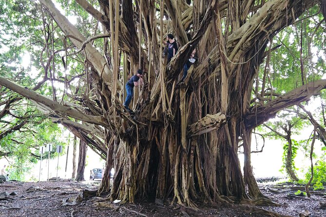 Hawaii Volcanoes, Waterfalls, Beaches & Hilo Highlights Day Tour - Liliʻuokalani Gardens and Hilo Bay