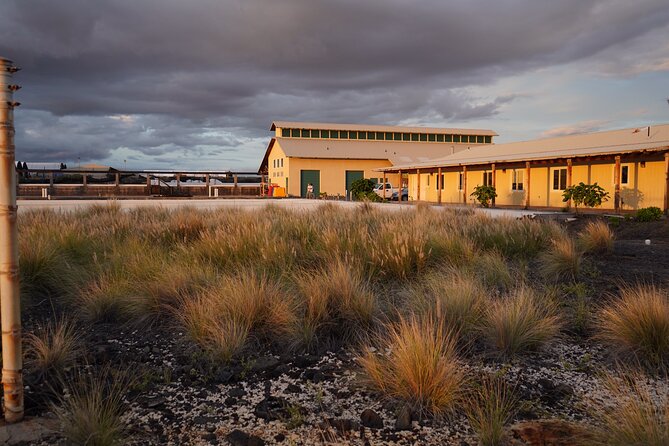 Hawaiian Salt Farm Tour in Kona - Sun, timing, and guide style