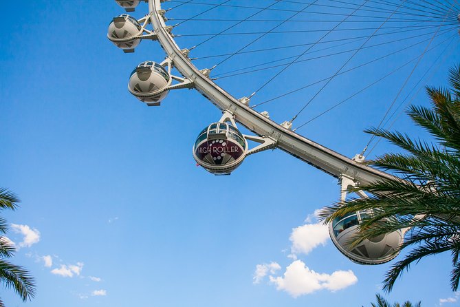 High Roller Wheel Admission Ticket at The LINQ - Who will enjoy this ride most