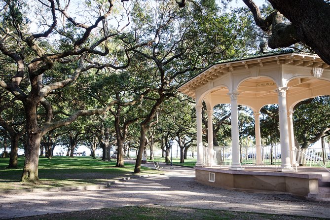 Highlights of Charleston Guided Walking Tour - The guide makes the biggest difference