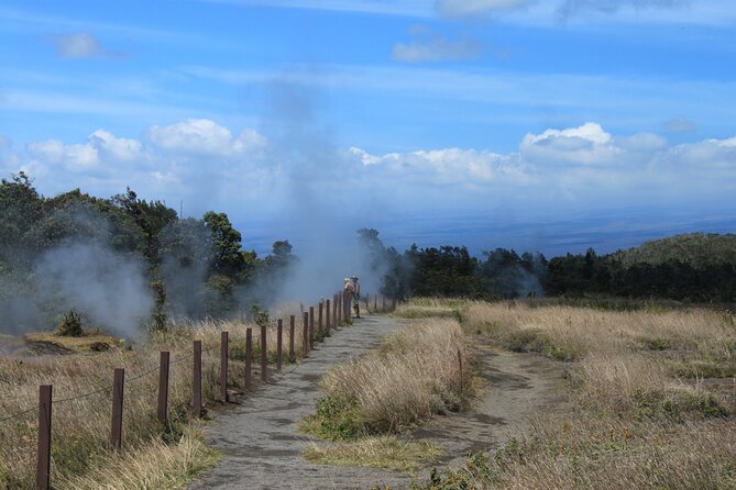 Hilo Shore Excursion: Active Volcano, Lava Tube, Waterfall and Gardens - Chain of Craters Road and old lava fields