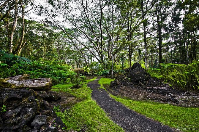 Hilo Shore Excursion: Volcano Safari Lava Caves & Black Sand - Pahoa and the road to the 2018 eruption zone