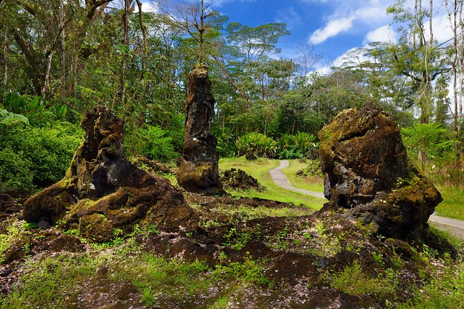 Hilo Shore Excursion: Volcano Safari Lava Caves & Black Sand - Local lunch, small-group transport, and guide quality