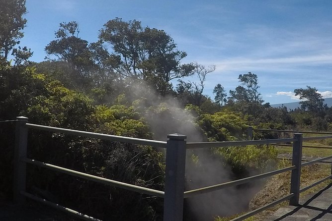 Hilo Shore Excursion: Volcanoes National Park & Black Sand Beach - From Hilo town to the volcanic uplands