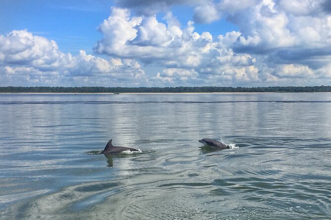Hilton Head Island Dolphin Boat Cruise - Quick reasons to consider this cruise