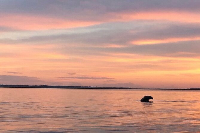 Hilton Head Island Dolphin Boat Cruise - Searching for pods and positioning the boat