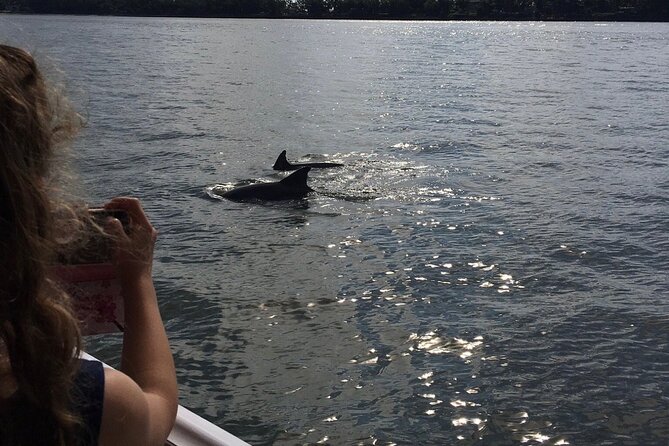 Hilton Head Island Dolphin Boat Cruise - The Lowcountry setting beyond the dolphins