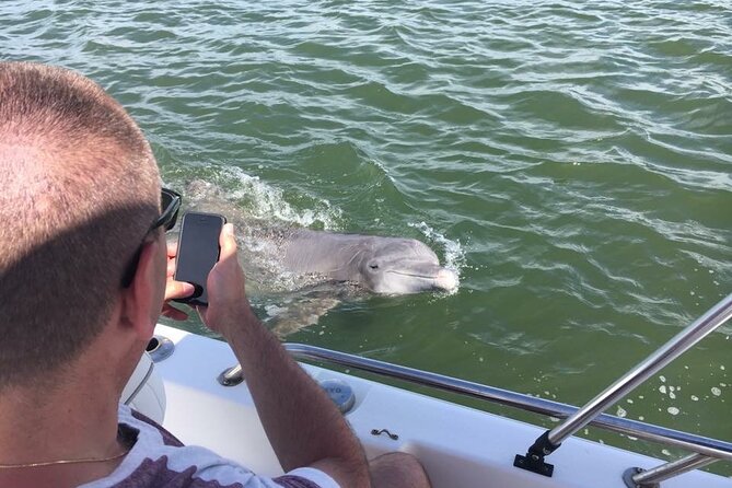 Hilton Head Island Dolphin Boat Cruise - Who should book this outing?