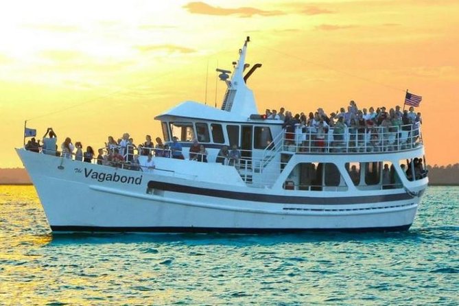 Hilton Head Island Ocean Dolphin Cruise - Dolphin watching in the wild