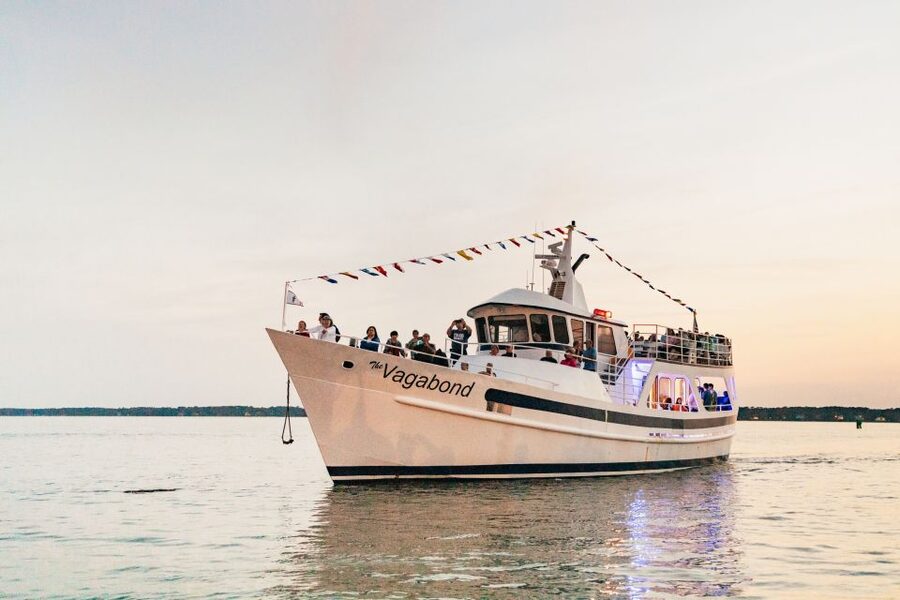 Hilton Head Island: Sunset Dolphin Cruise - Key points to know before you board