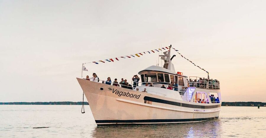 Hilton Head Island: Sunset Dolphin Cruise - What this Hilton Head sunset cruise is really like