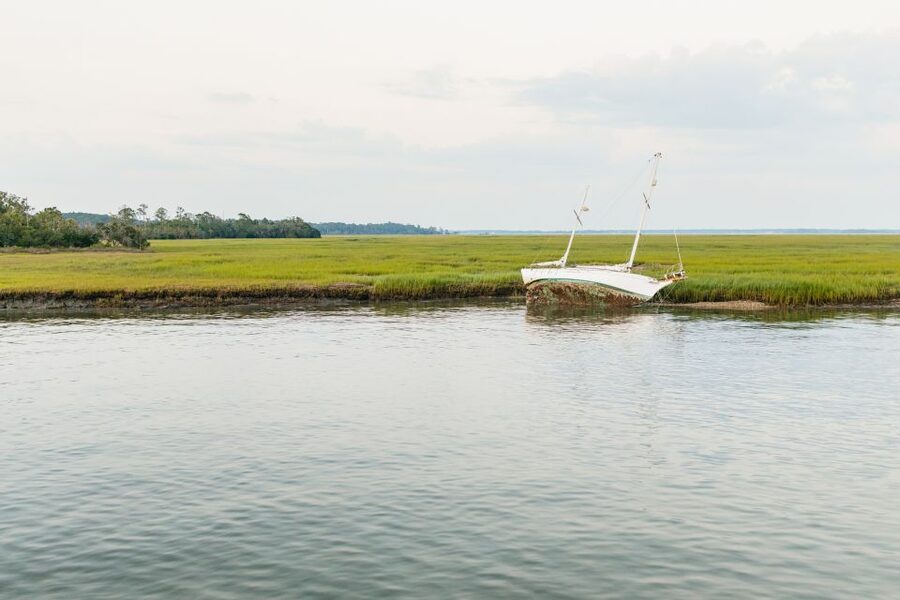 Hilton Head Island: Sunset Dolphin Cruise - Is $50 a good price?