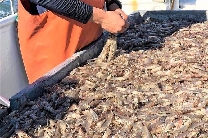 Hilton Head Shrimp Trawling Boat Cruise - Who will enjoy this cruise most