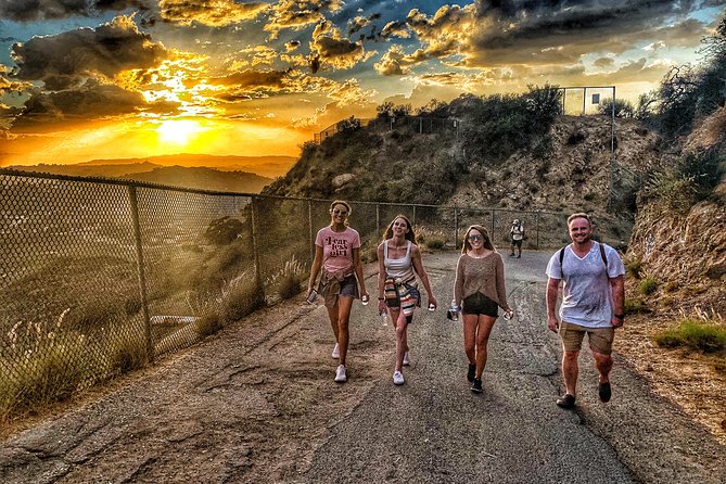 Hollywood Sign 2.5-Hour Tour with Comedians and Their Dogs - When the experience works best