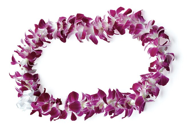Honolulu Airport: Waikiki Private Transfer With Lei Greeting - Finding your driver in Honolulu Airport