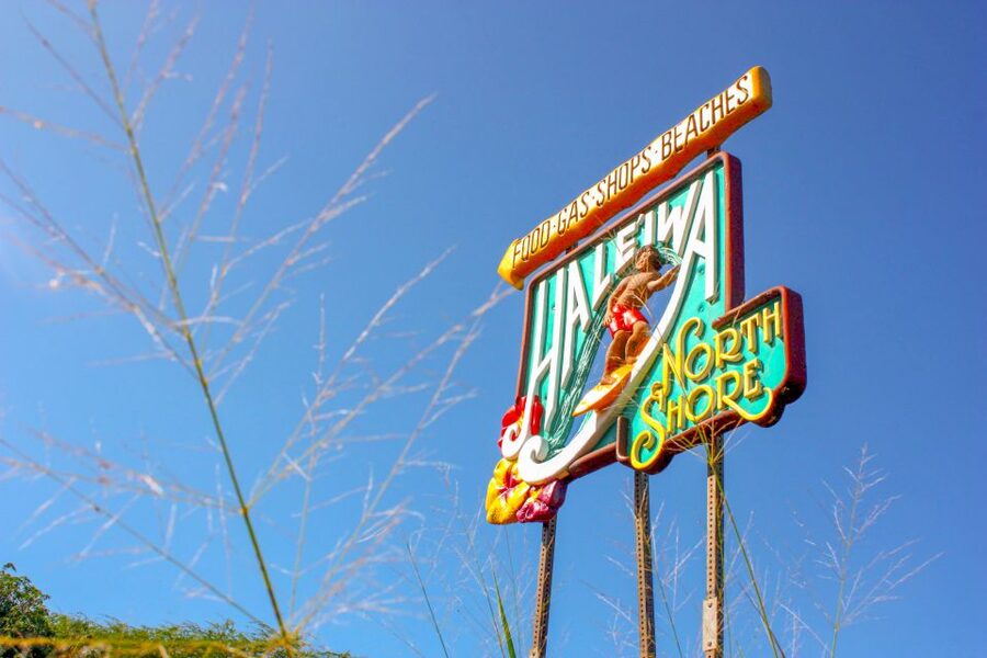 Honolulu: Oahu Island Full-Day Guided Tour by Bus with Lunch - The practical details that shape the day