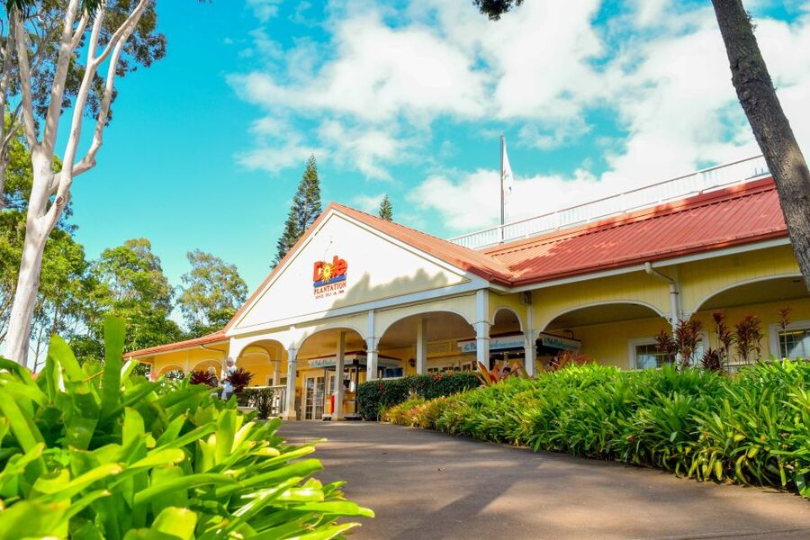 Honolulu: Oahu Island Full-Day Guided Tour by Bus with Lunch - The North Shore is a moving view, not a beach day
