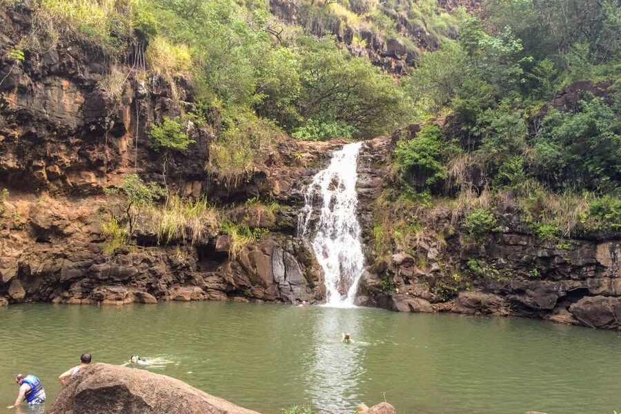 Honolulu: Oahu Island Full-Day Guided Tour by Bus with Lunch - Dole Plantation is part attraction, part shopping stop