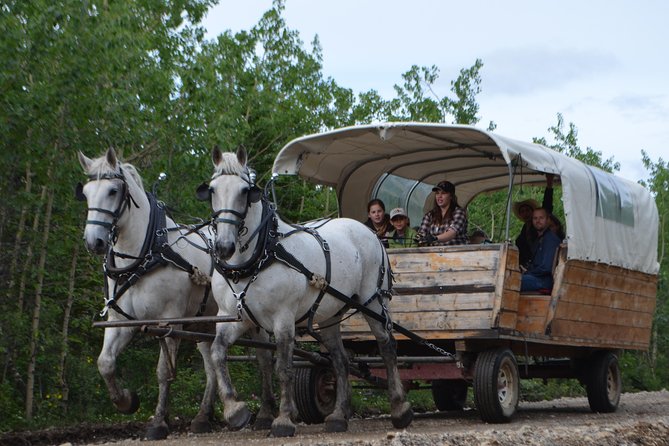 Horse-Drawn Covered Wagon Ride with Backcountry Dining - The return trip and local stories