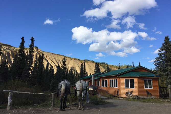 Horse-Drawn Covered Wagon Ride with Backcountry Dining - Pickup, timing, and practical details