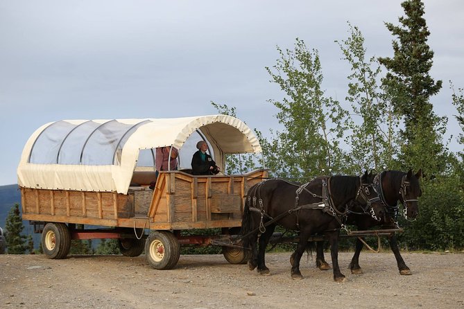 Horse-Drawn Covered Wagon Ride with Backcountry Dining - The best match for this Denali outing