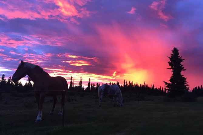 Horse-Drawn Covered Wagon Ride with Backcountry Dining - What you see along the 45-minute ride