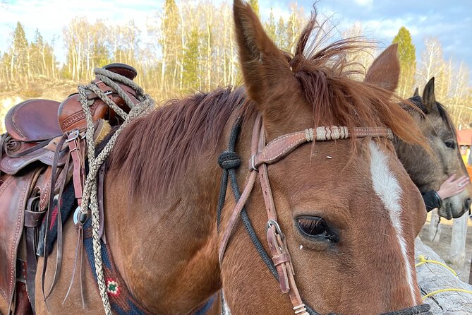 Horseback Riding with Grand Teton Views in Jackson Hole - The rough edges: delays, mud, and horse care