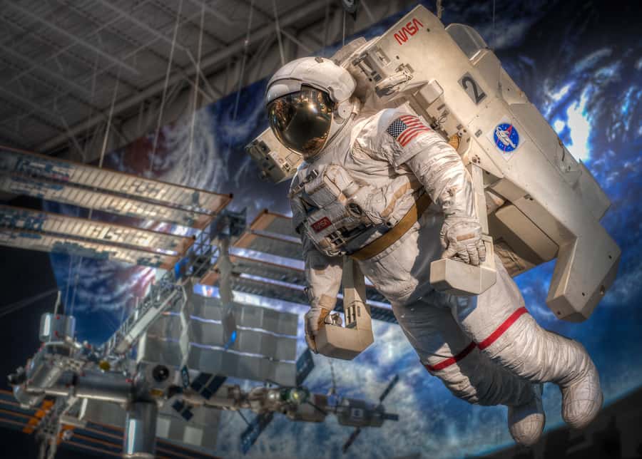 Houston: City Tour and NASA Space Center Admission Ticket - Comfort, timing, and the small practical details