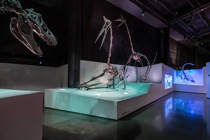 Houston Museum of Natural Science General Admission - The dinosaur hall delivers the biggest visual impact
