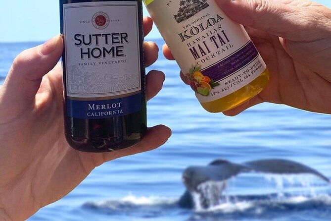 'Imiloa Express Whale Watch and Cocktail Tour - Dolphins, turtles, and the south-coast views