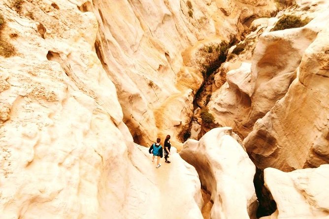 Incredible Slot Canyons to the Pacific - Torrey Pines Slot Canyons: A Coastal Adventure With Some Teeth