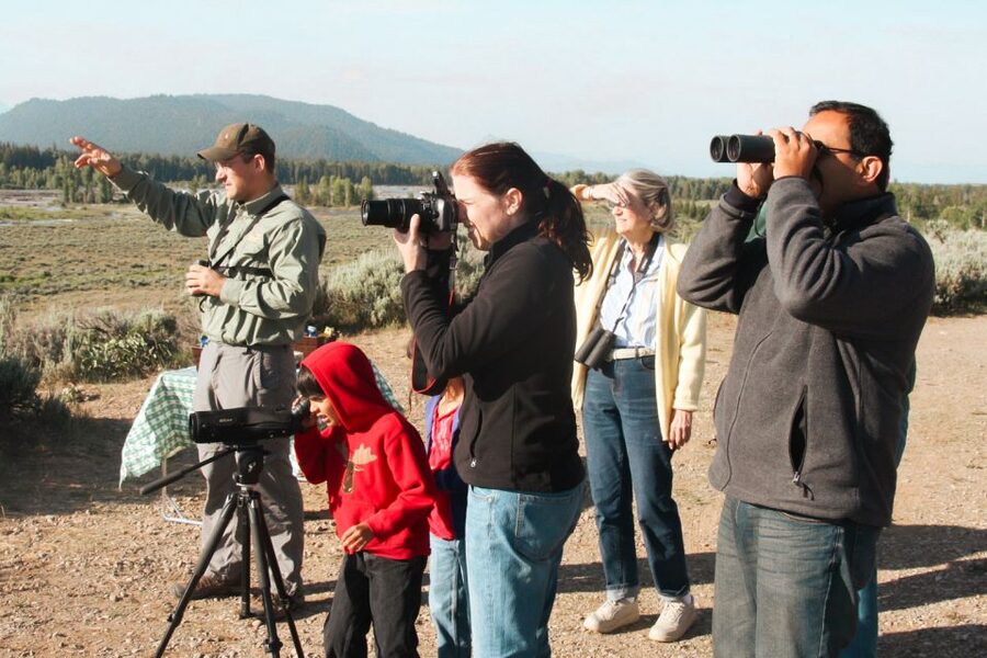 Jackson: Grand Teton National Park Guided Wildlife Tour - Should you book the Grand Teton wildlife tour?