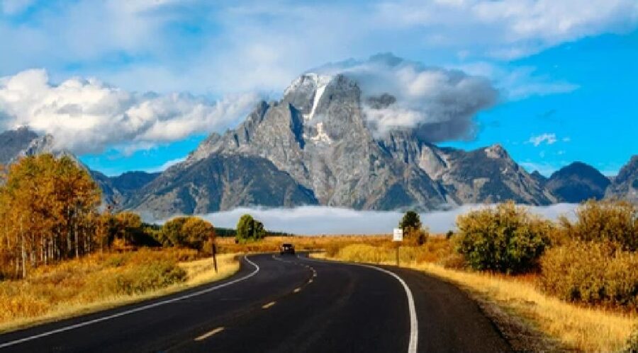 Jackson: Grand Teton National Park Guided Wildlife Tour - Open safari vehicle or heated van?