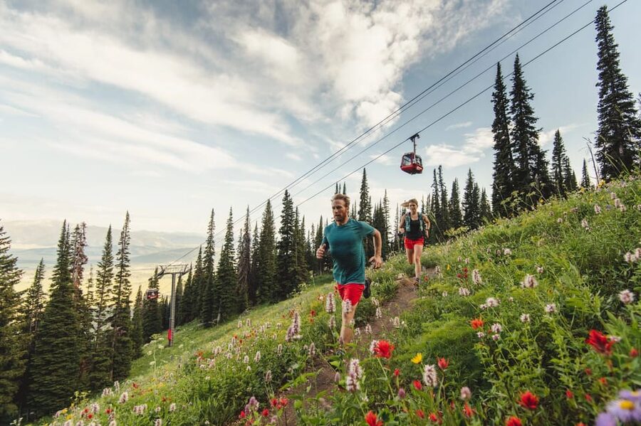 Jackson Hole: Aerial Tram and Gondolas Sightseeing - Who should book the Jackson Hole tram?
