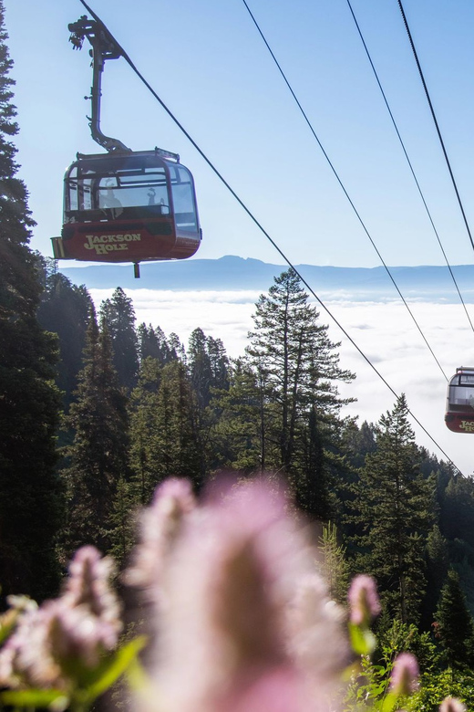 Jackson Hole: Aerial Tram and Gondolas Sightseeing - The 12-minute ride from Teton Village to 10,450 feet