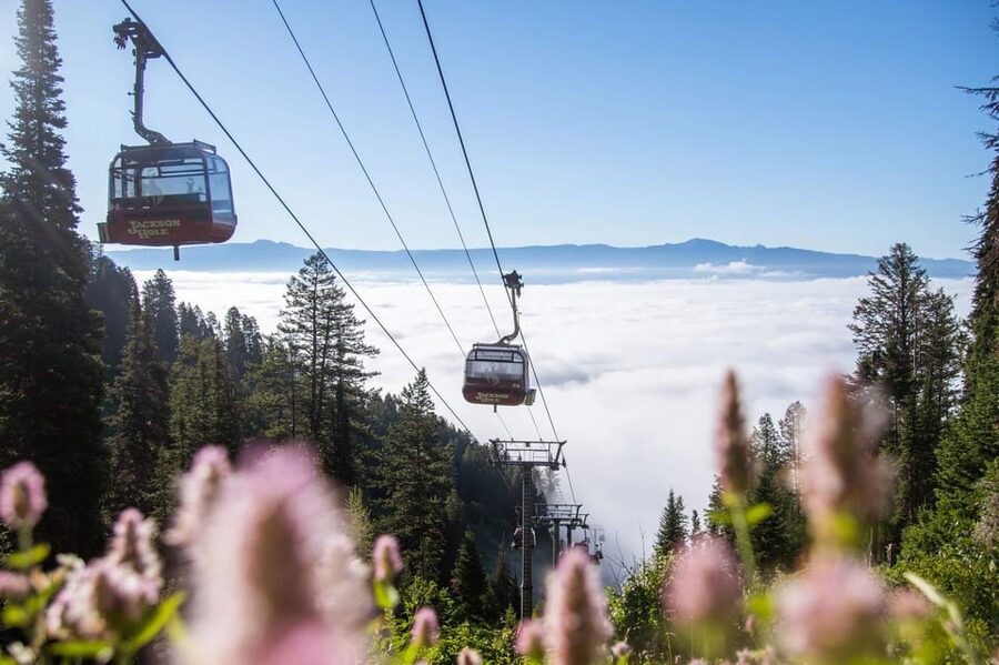 Jackson Hole: Aerial Tram and Gondolas Sightseeing - Walking trails above the valley