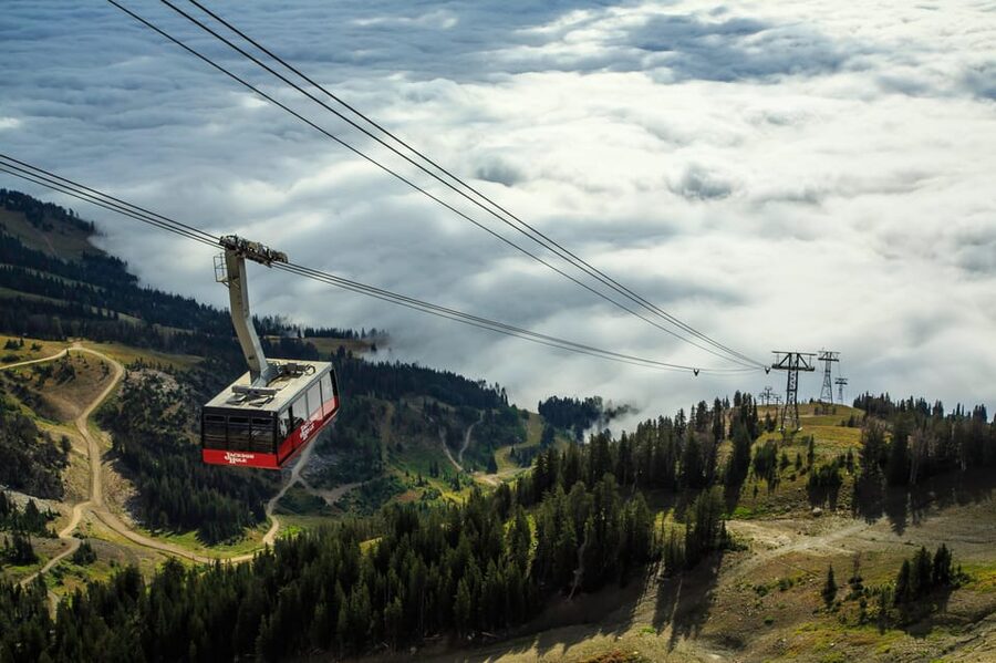 Jackson Hole: Aerial Tram and Gondolas Sightseeing - Is the $55 ticket good value?
