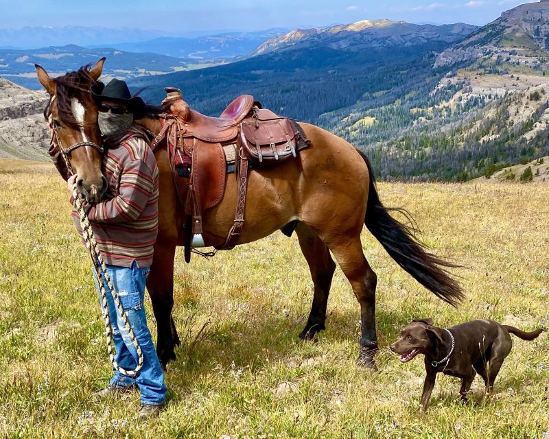 Jackson Hole: Bridger-Teton National Forest Horseback Ride - A useful lesson before the trail
