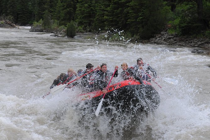 Jackson Hole Whitewater Rafting Classic from Jackson Hole,Wyoming - Who will enjoy it most
