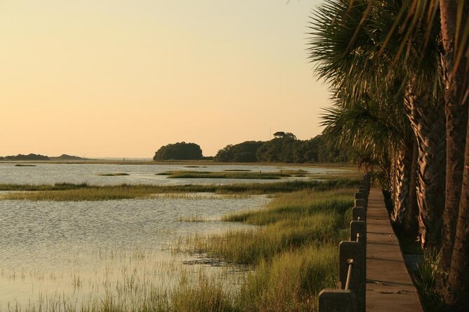 Jekyll Island Dolphin Tours - Is the $45 Price a Good Value?