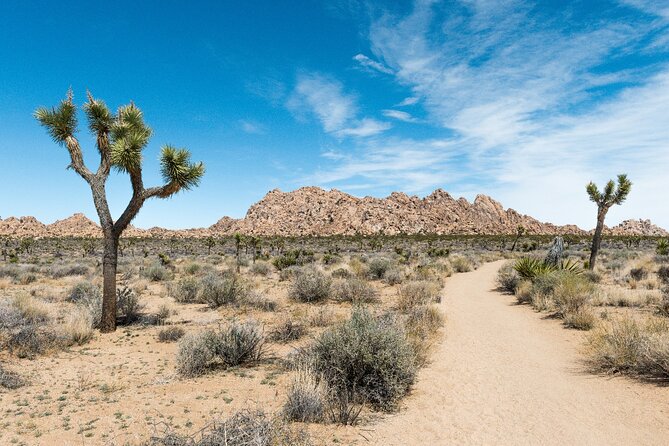 Joshua Tree National Park Self-Guided Driving Audio Tour - Skull Rock and the route toward Twentynine Palms